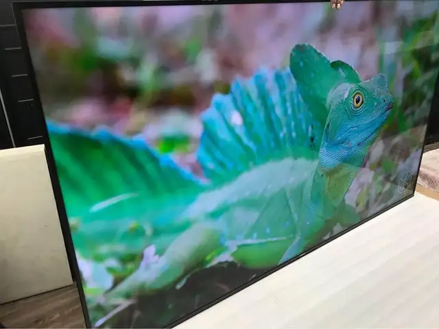 A Day Sony X75K 55' 4K UHD HDR LED Smart Google TV KD55X75K - Photo 7