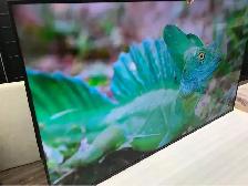 Now Sony X75K 55' 4K UHD HDR LED Smart Google TV KD55X75K - Photo 7