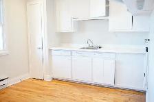 Charmant appartement d’une chambre au cœur de La Petite-Patrie - Photo 10