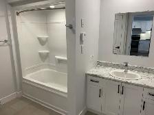 55 Forest Hill: 1-Bed Apt (B) Close to UNB, Shops & Transit - Photo 6