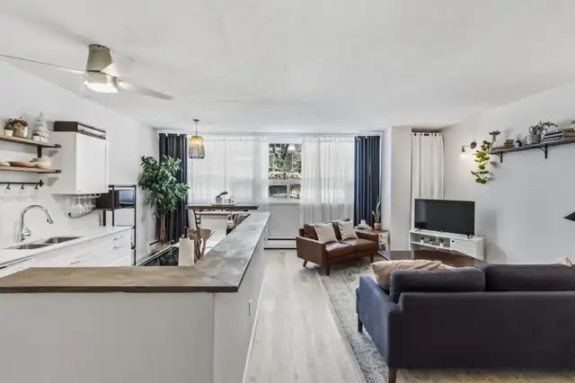 2 Bedroom Apartment South End