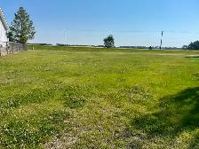 Land for Sale - Photo 3