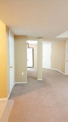 1 Bedroom in Basement