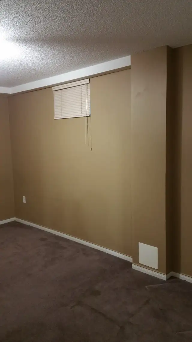 1 Bedroom in Basement - Photo 4