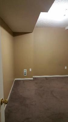 1 Bedroom in Basement - Photo 5