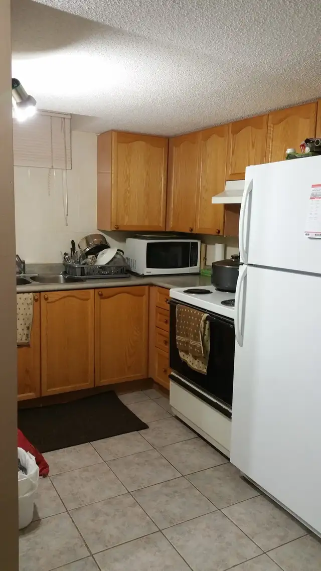 1 Bedroom in Basement - Photo 10