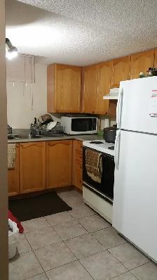 1 Bedroom in Basement - Photo 10