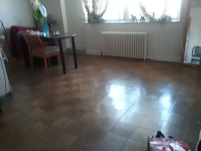 Mature Asian Roommate Needed