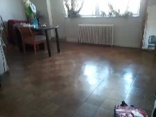 Mature Asian Roommate Needed