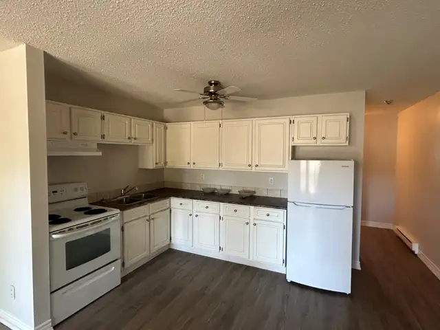 1 Bed 1 Bath Apartment with balcony - Photo 4