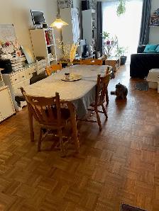 3½ JUILLET / BIEN SITUÉ / PRÈS HÔPITAL, AUTOROUTE 35 et TRANSPOR - Photo 5