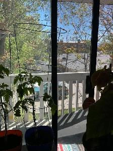 SPACIOUS – RENOVATED – PET FRIENDLY - Photo 3