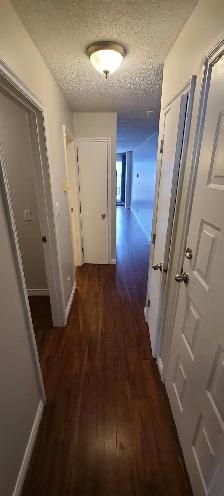 SPACIOUS – RENOVATED – PET FRIENDLY - Photo 4