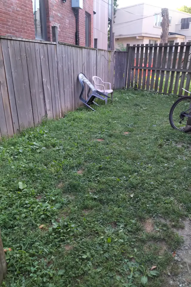 Bright 4Bdrm/deck/yard/Wood floor Apr/May 1st - Photo 9
