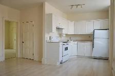 Beautiful 2 Bedroom Apartment - Photo 4