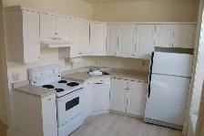 Beautiful 2 Bedroom Apartment - Photo 6