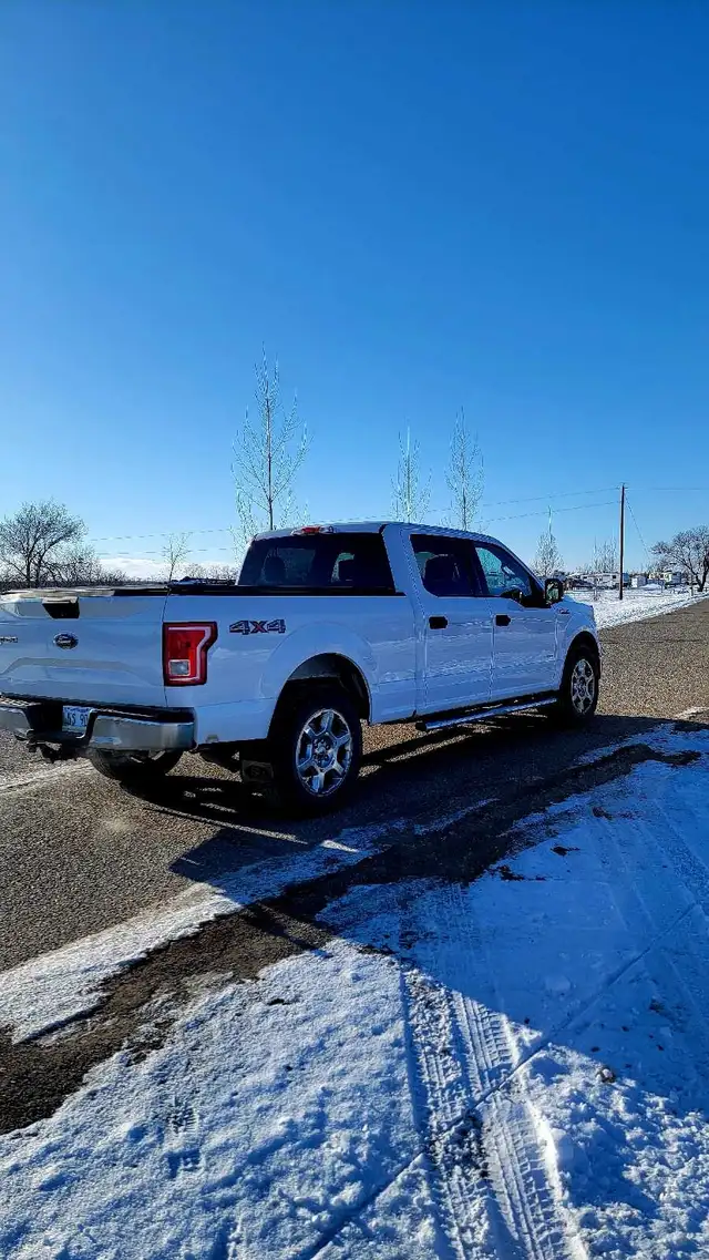 Saftied 2015 f150 3.5 ecoboost - Photo 3