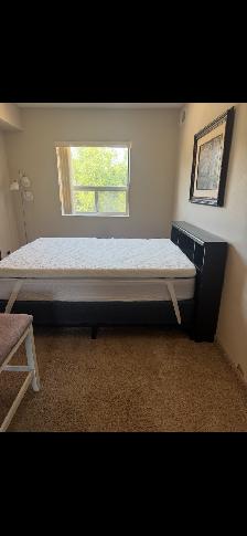 Student room for rent 700 a month five minute walk to Waterloo U - Photo 4