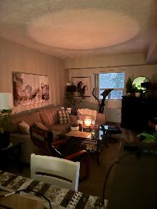 Student room for rent 700 a month five minute walk to Waterloo U - Photo 6