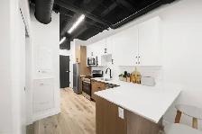 LUXURY 1 Bedroom Apartment! Move In Ready!