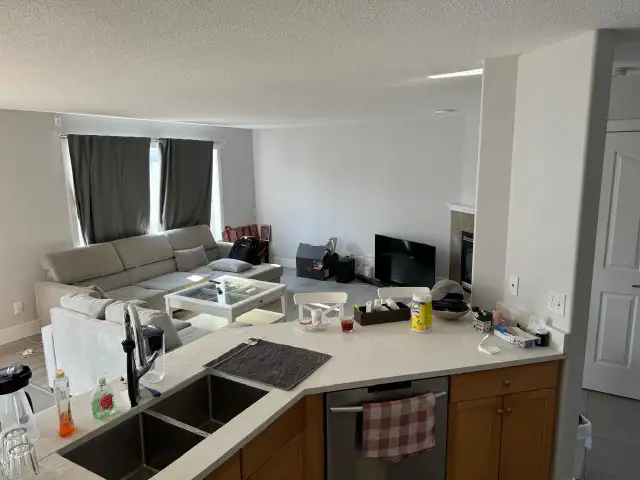 1 Newly Basement house for rent or One Room for Rent - Photo 6