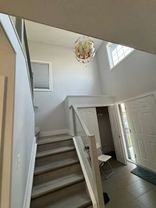 1 Newly Basement house for rent or One Room for Rent - Photo 10