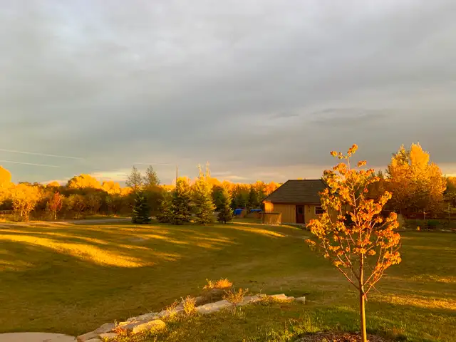 Horse Board -APRIL 1ST - $290/month -  10 min. south of Calgary - Photo 4