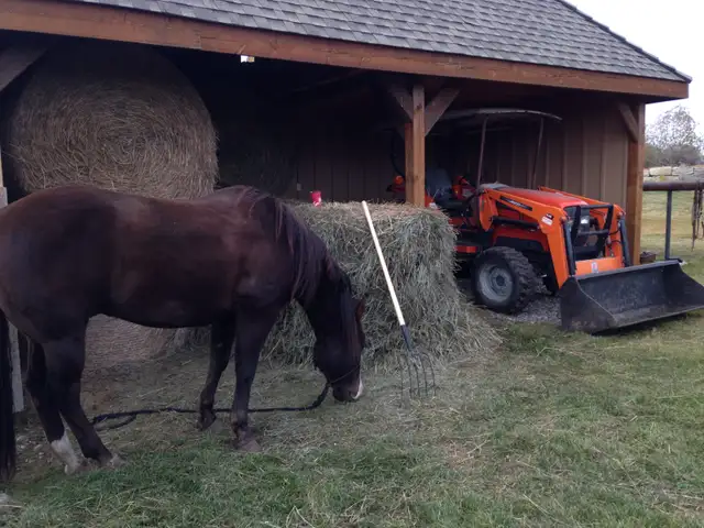Horse Board -APRIL 1ST - $290/month -  10 min. south of Calgary - Photo 6