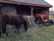 Horse Board -APRIL 1ST - $290/month -  10 min. south of Calgary - Photo 6