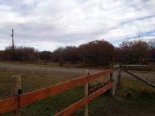 Horse Board -APRIL 1ST - $290/month -  10 min. south of Calgary - Photo 7