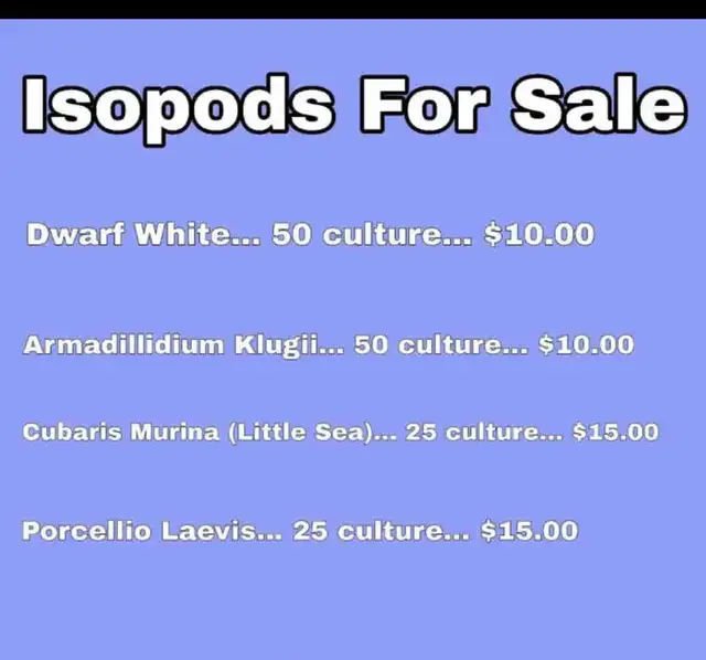 Isopod Sale