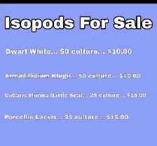Isopod Sale