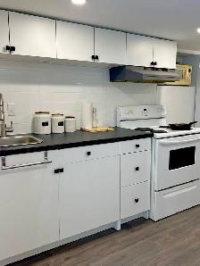 Oshawa walk out basement for rent - Photo 7