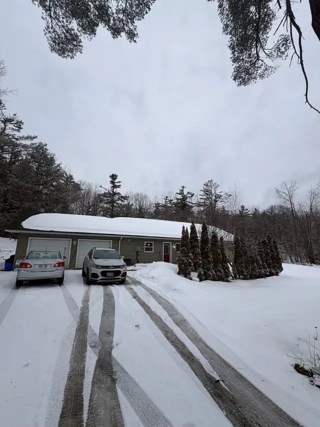 Room for rent - Photo 3