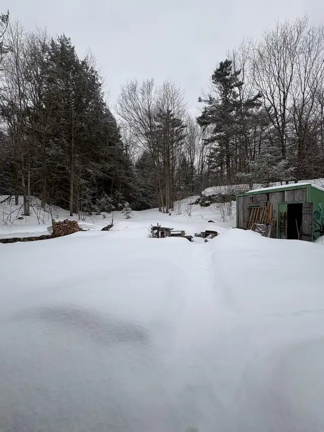 Room for rent - Photo 5