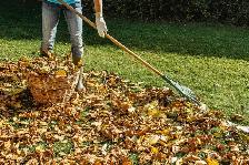 Spring clean-up (not hiring)