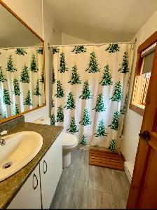 Chalet Condo à louer à Orford - 4 chambres 2,5 sdb - Photo 10