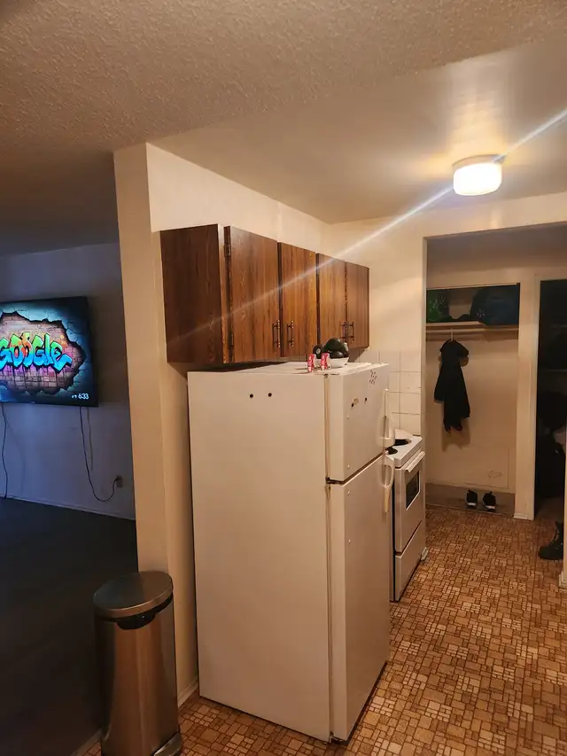 1 Bedroom Apartment for Rent June-01-2026 - Photo 3