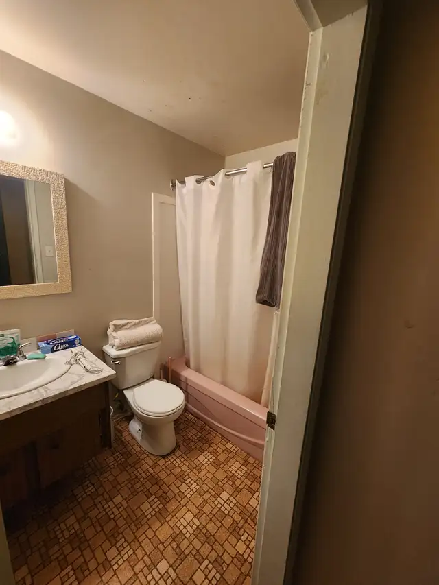 1 Bedroom Apartment for Rent June-01-2026 - Photo 9