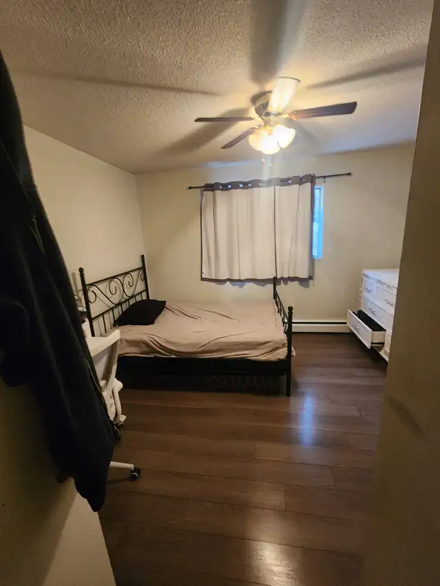 1 Bedroom Apartment for Rent June-01-2026 - Photo 10