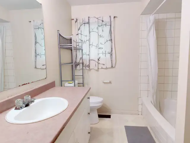 All Inclusive Large Private Bedroom near Carleton & Algonquin - Photo 6