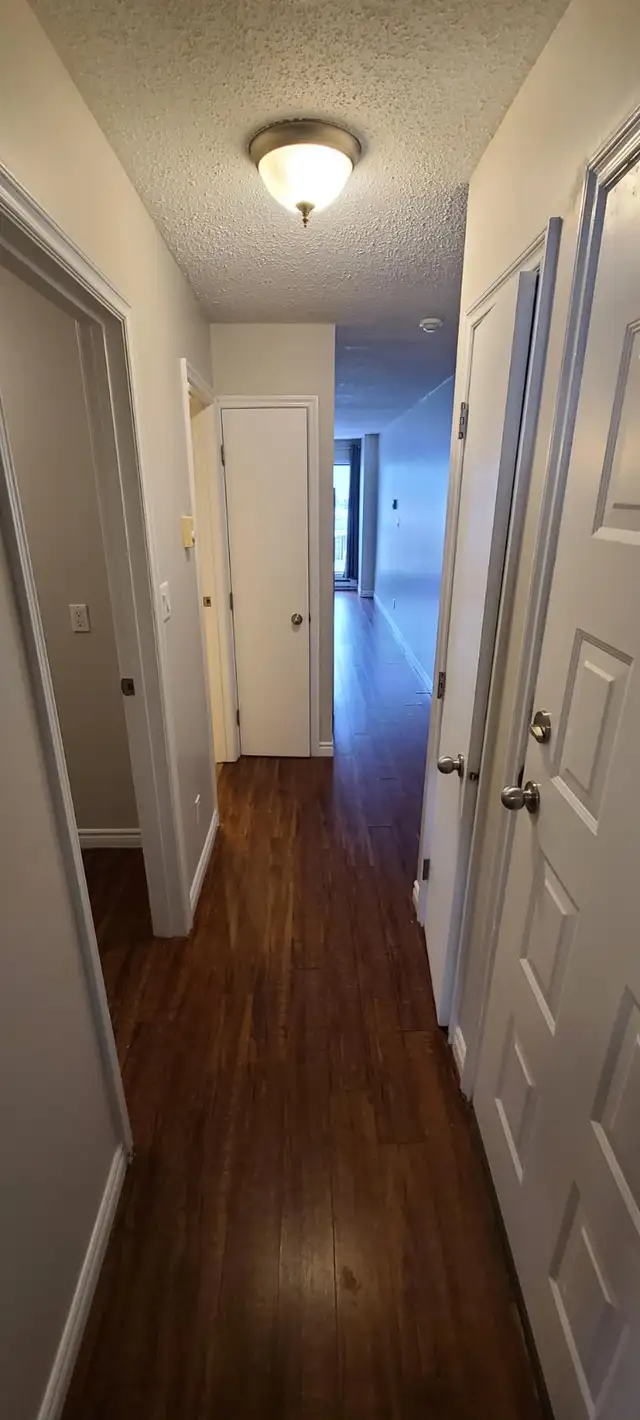 1 Bed 1 Bath Apartment - Photo 4