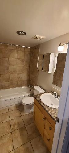 1 Bed 1 Bath Apartment - Photo 7