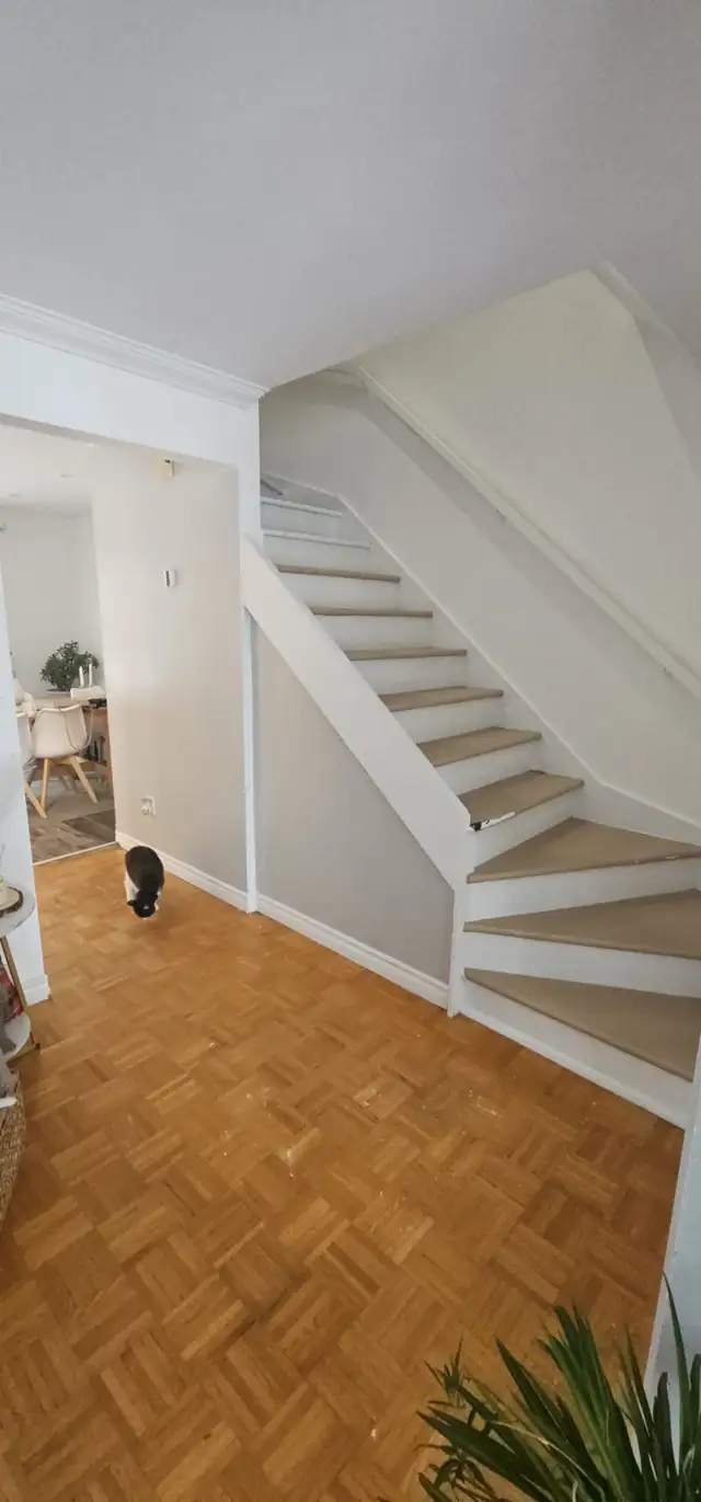 femme de ménage Terrebonne