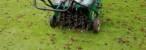 Lawn Aeration