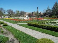 Jackson park. Large one bedroom apartment. $1,200 - Photo 7