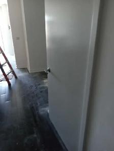 Painter For Hire - Photo 9