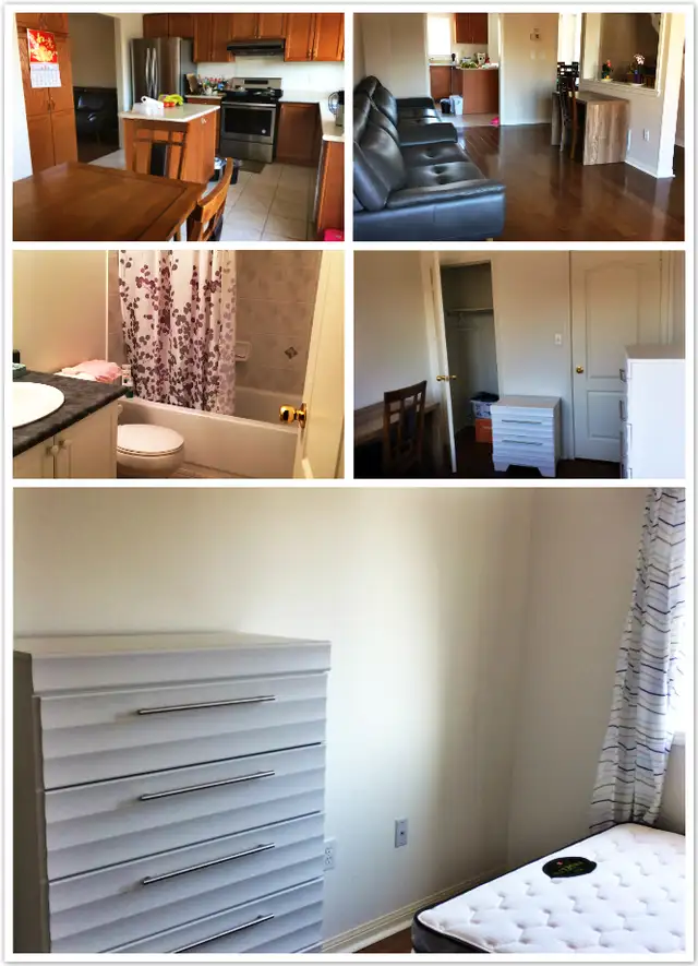 Room for Student of UTM better also homestay
