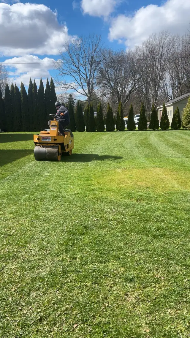 lawn care / lawn rolling - Photo 2