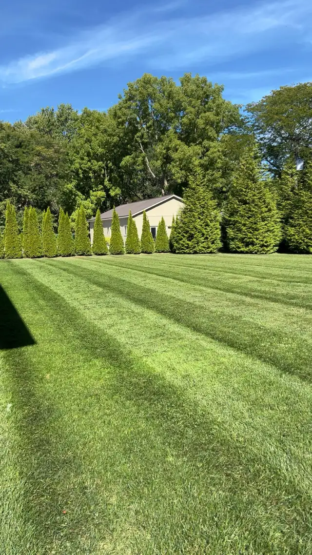 lawn care / lawn rolling - Photo 3